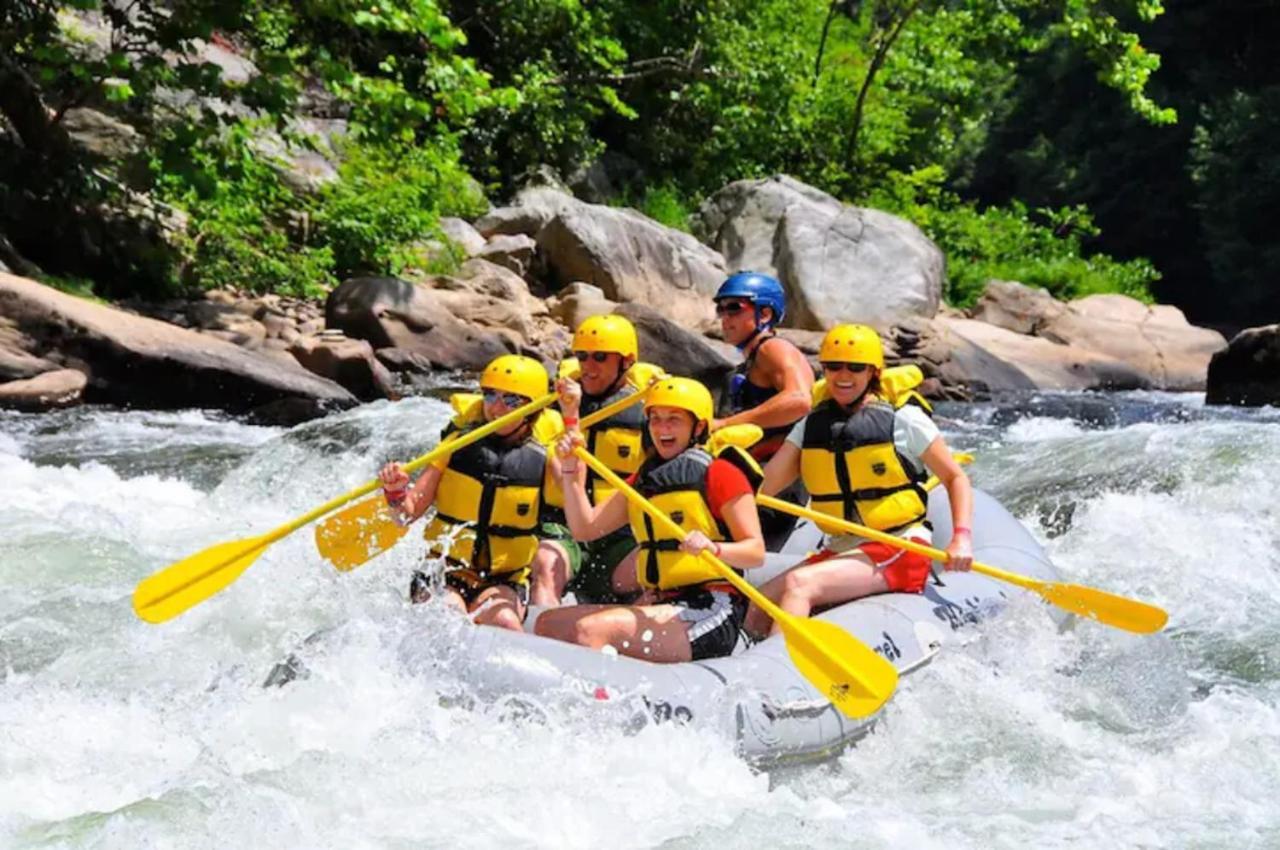 In - Closest Place To The Gap Trail In Ohiopyle, Pa Villa *